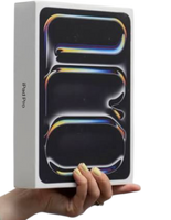 IPAD PRO 11 M5 256 GB
